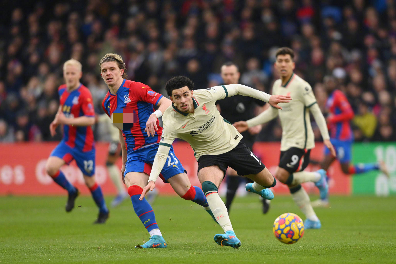 篮球世界的 篮球世界的